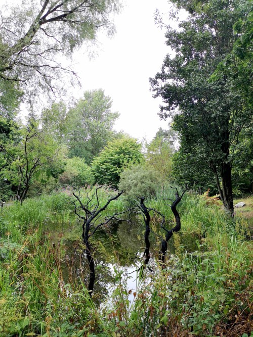 Ghost Forest: Permanent Public Artwork at Dundee Botanic Gardens