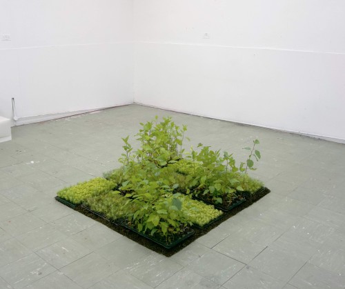 Future Landscapes: Forest