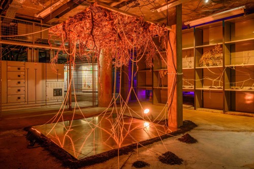 Future Landscapes: Roots