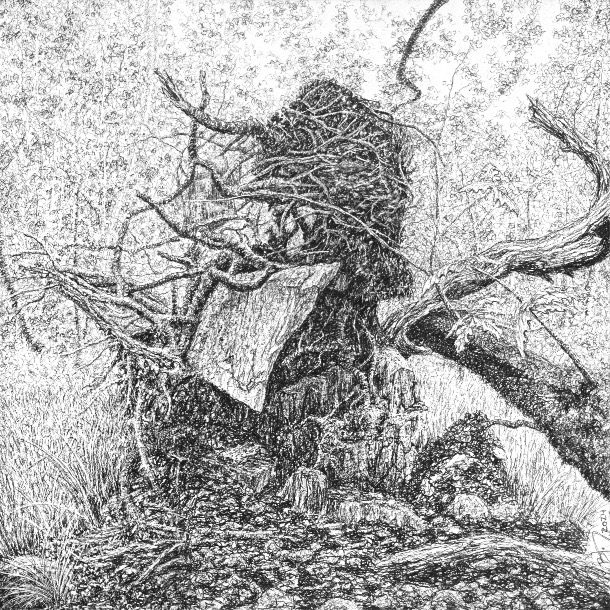 27. Milteer, Extraction (root Plate), 2024