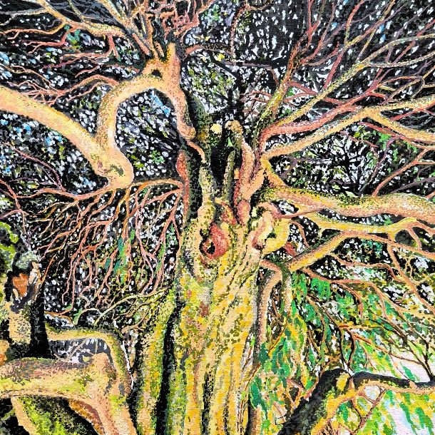 Sips 2025 Prunus Lusitanica V2 11x14 3 Fin