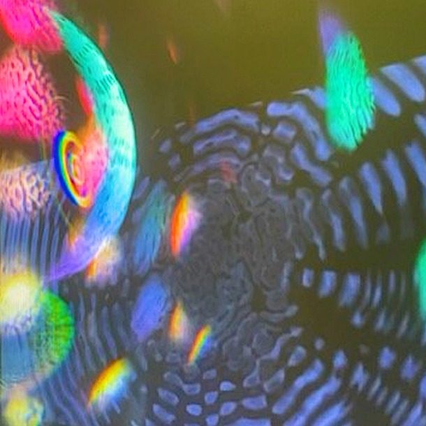 Ssa The Wave Is Not The Water 1 Copy