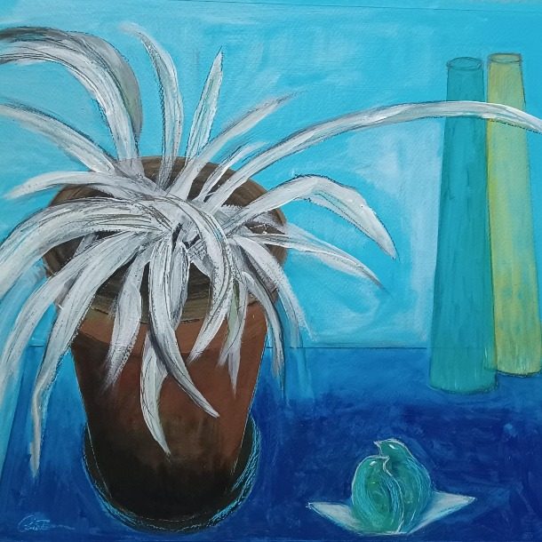 Spider Plant In Blue