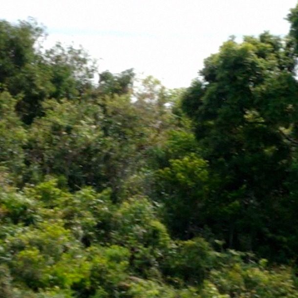 Still 05