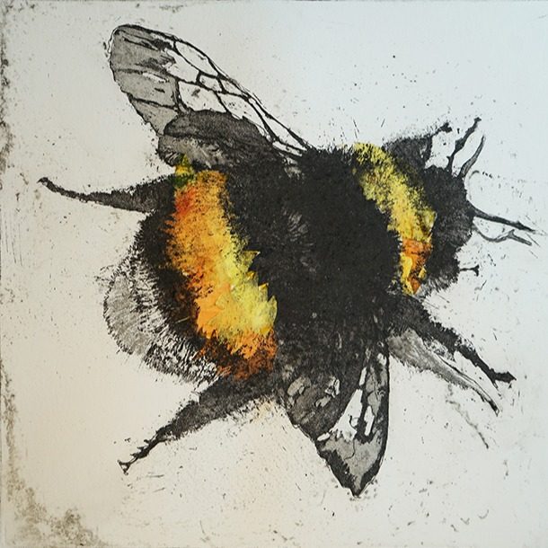 Catherine King'mon The Bees 1 Aquatint 19x19cm Vas