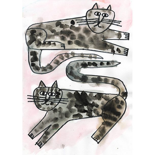 Cats Slide