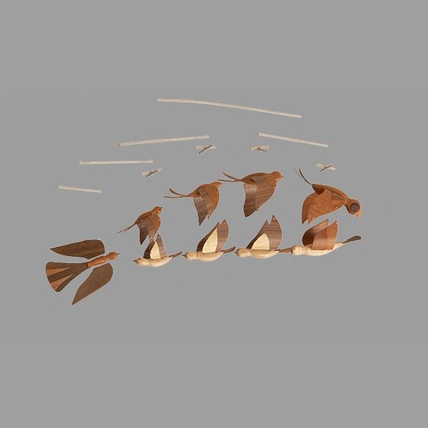 Invisible Fish Vas