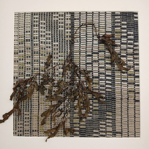 Seaweed And Silk