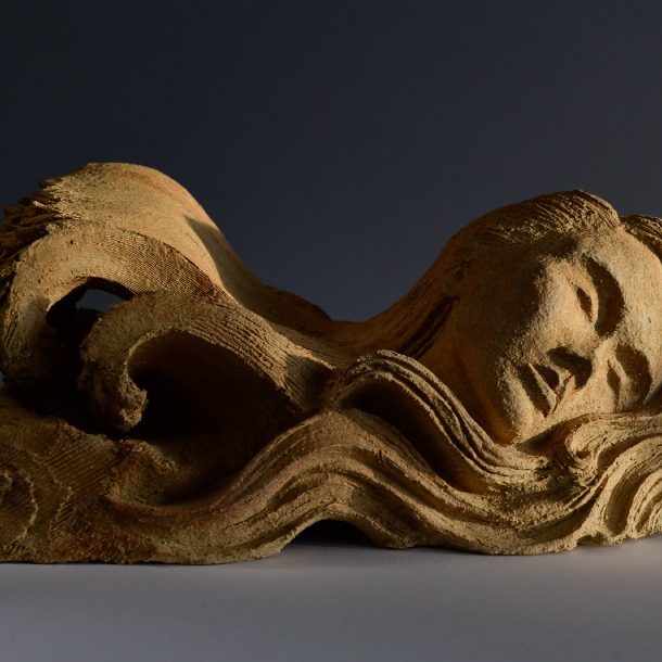 The Dreamer By Francesca Flynn 1