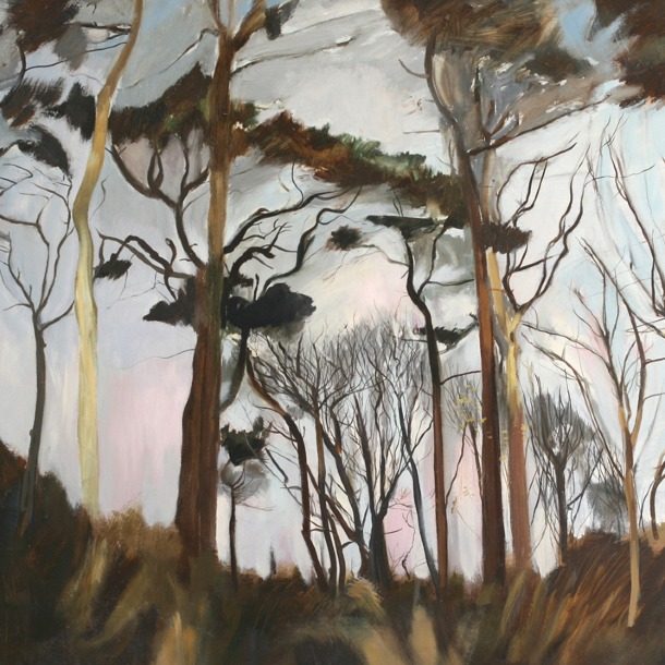 Winter Trees +