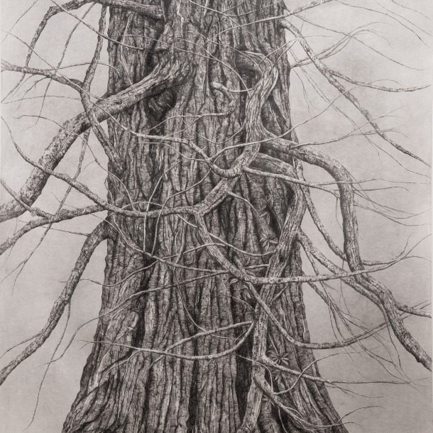 Yet Dwells The Strain Enshrined In The Memory, Graphite On Paper, Jan 2022