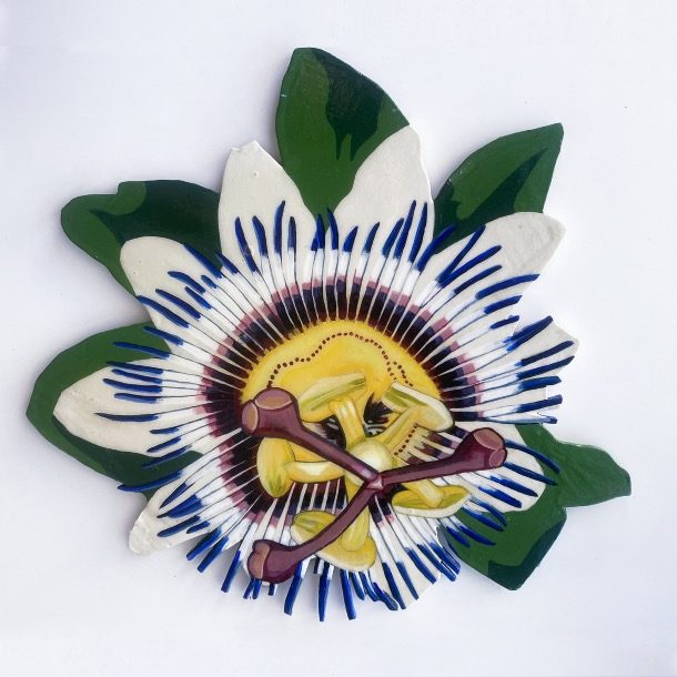 ©cocodaub 20250801 Passionflower 1