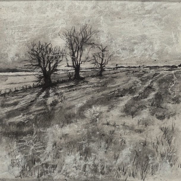 Dsc01702