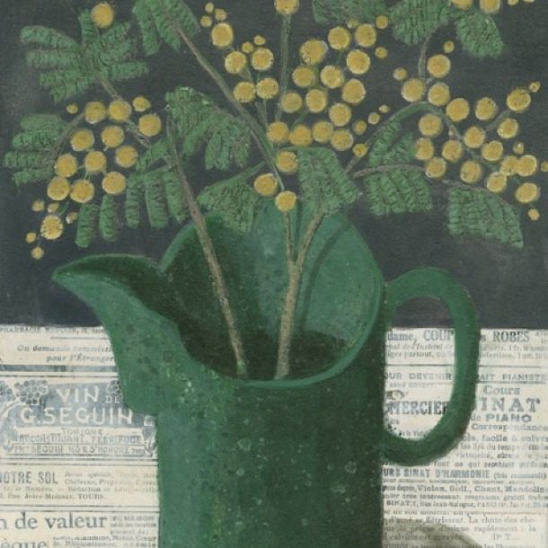 February Mimosa