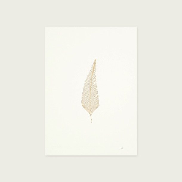 Feather