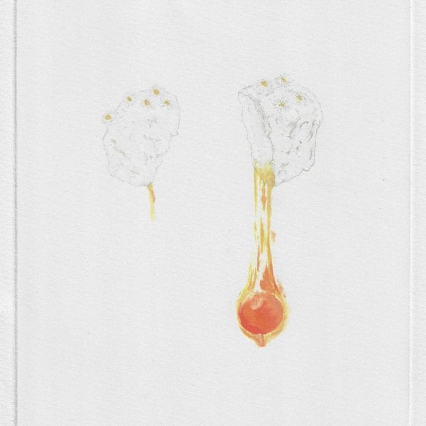 Scan3(crop)