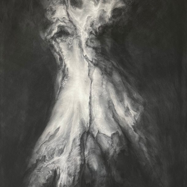Tansyleemoir Caught By The Light Charcoaloncanvas 120x80