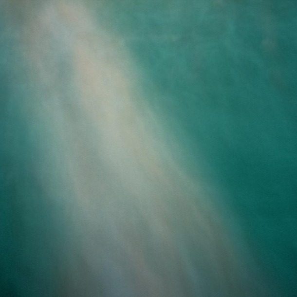 The Swimmer