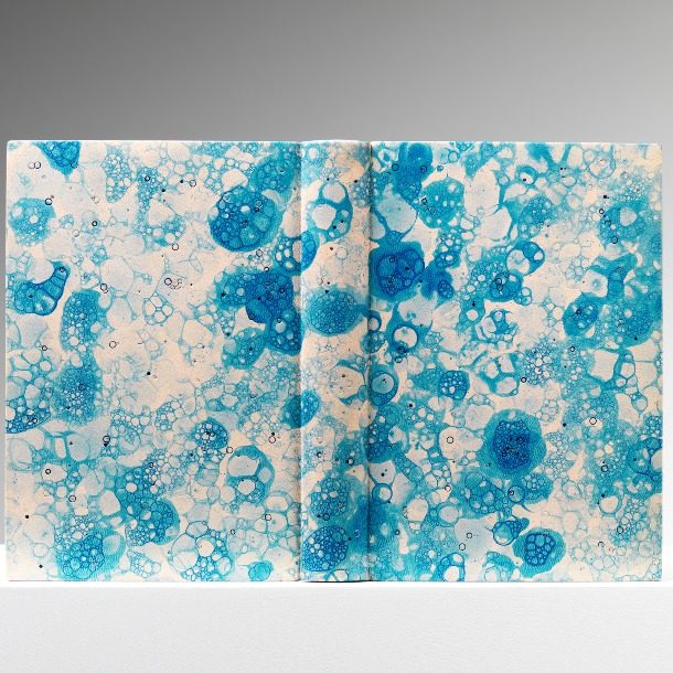 06 Felicity Bristow Love Poems Image Credit © Shannon Tofts Artistbook