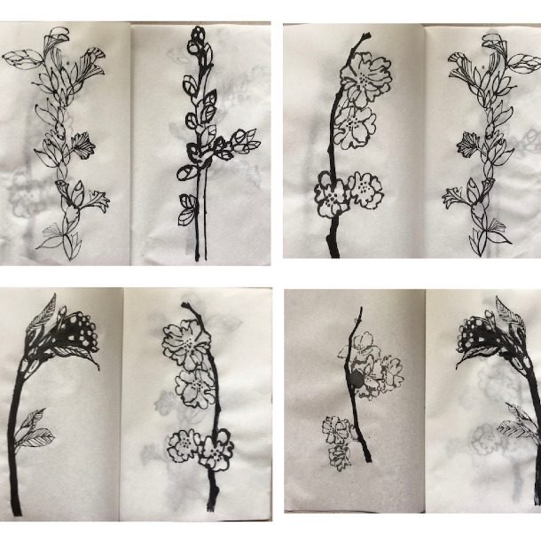 Alisonphilp Bookofbudsandblooms Sumiinkandricepaperhandbound A5