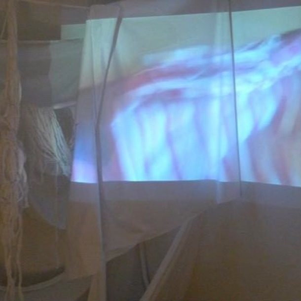 'another Place' Prefab, Studio 41 Glasgow