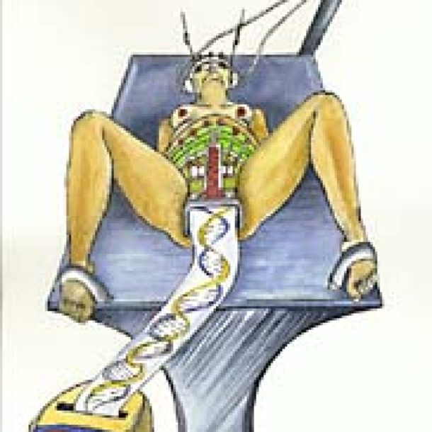 Subrosa Image Birthcam