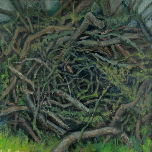 Anastasiasevcova Entangled Close Up.jpeg