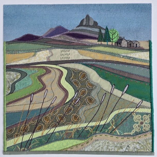 Braemore Grasses Dlee