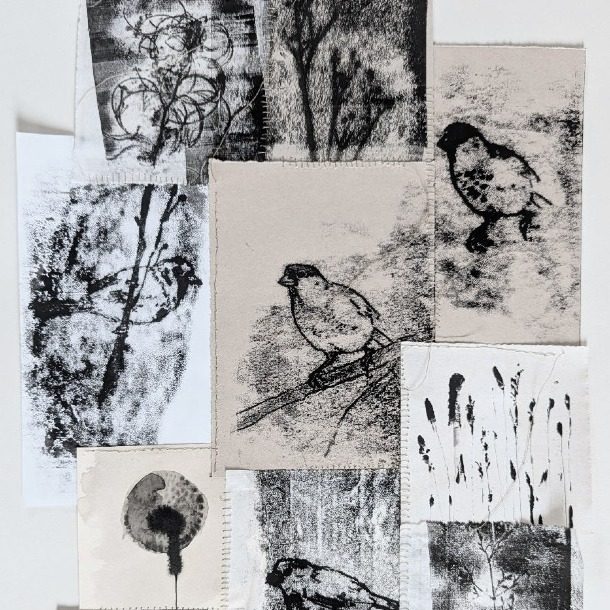 Vas Lisa Pettersson House Sparrows