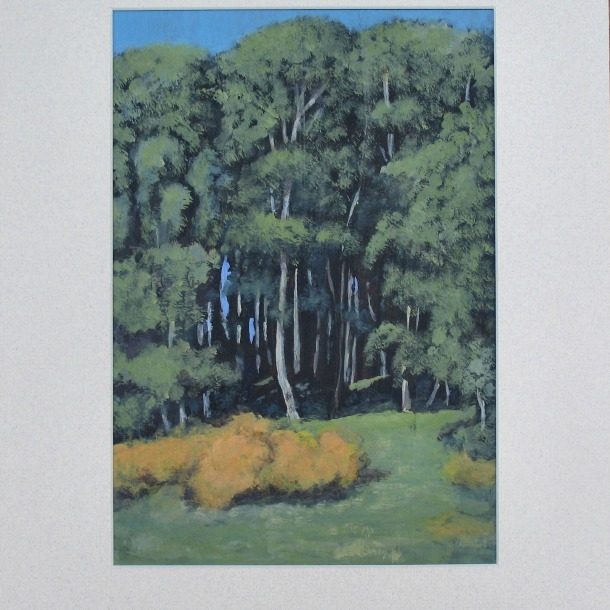 Birch Wood