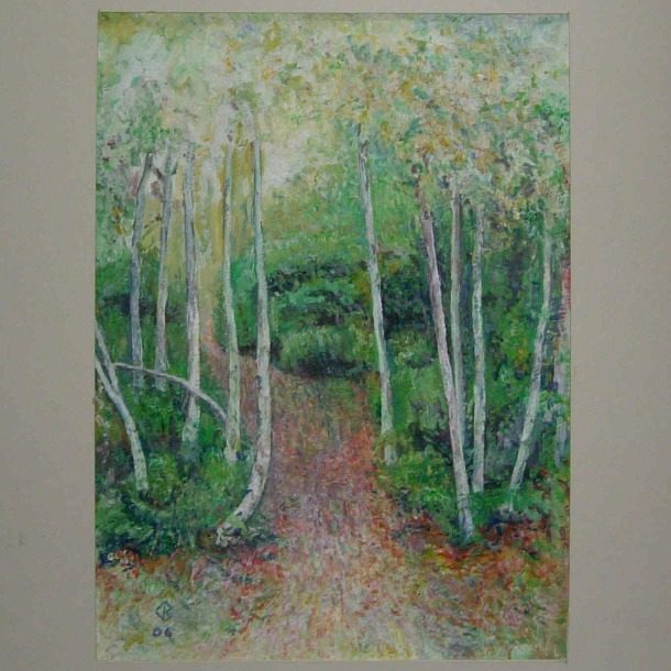 Forest Walk