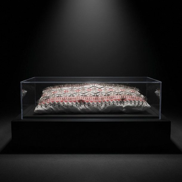 Display View Pillow