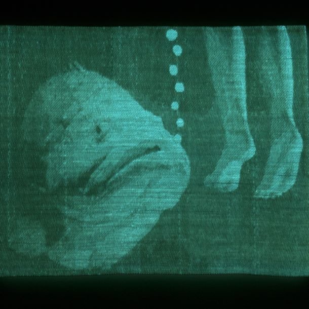 Fishtouchingmedark Small