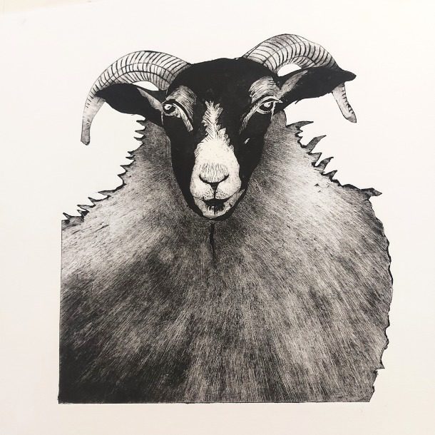 Wool Ii Rachel Meehan