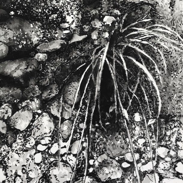 Carol Archer Gore Cove Track #2 2022 Ink, 22 X 15 Cm