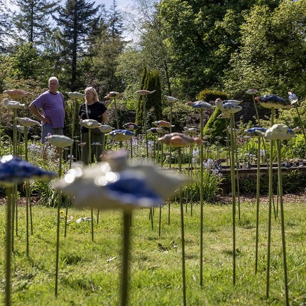 Flock Square