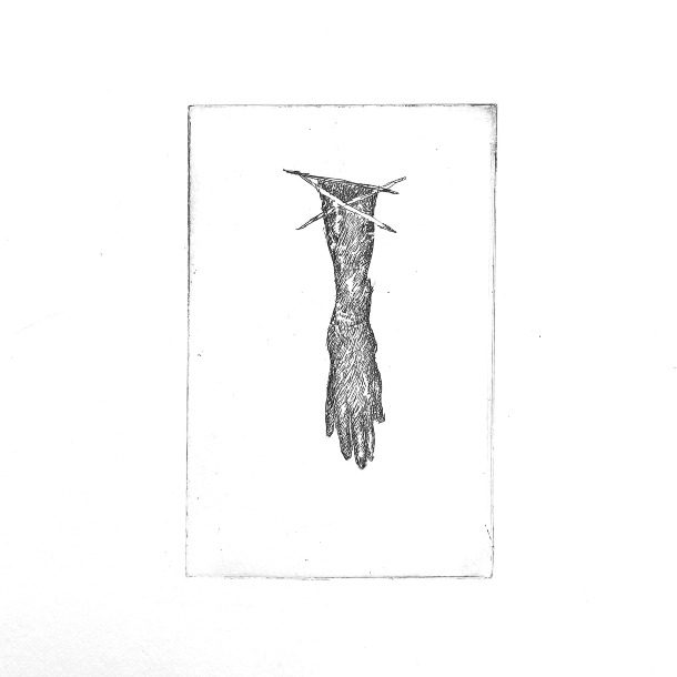 Hair Glove 13 X20cm Etching1