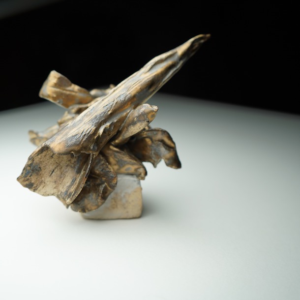 3 .vestige Kirsty G Hand Built Ceramic Sculpture With Bronze Effect Glaze, Exploring Organic Forms And Textures Inspired By Shells And Marine Life